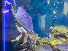 景观位-新加坡珍宝海鲜JUMBO Seafood(西安skp店)