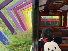 -合肥滨湖国家森林公园