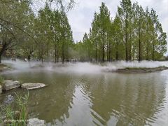 -北京国际鲜花港