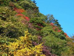 -太湖源风景区