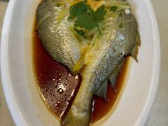 -得心斋(国瑞升平里店)