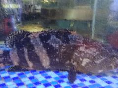 -新兴家喻酒家·羊城名宴(昌岗店)