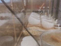 -东方饺子王(新奥购物中心店)