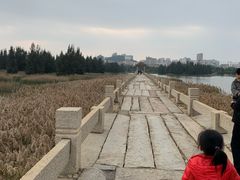 -五里桥文化公园-西侧停车场