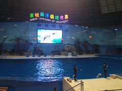 -泉城欧乐堡海洋极地世界
