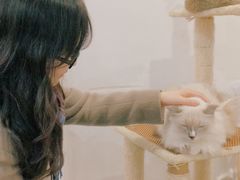 -共舞时光猫咖·狗咖(新街口店)
