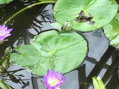 -国家植物园南园