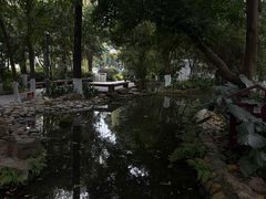 -成都市活水公园