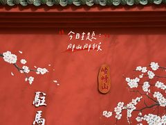 -嵖岈山风景区