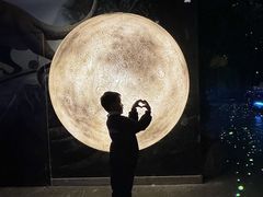 -顺德南宏海立方海洋公园
