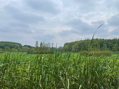 -昆山城市生态森林公园