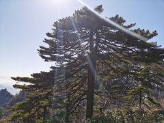 -黄山风景区