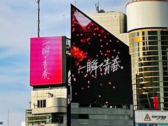-涩谷区
