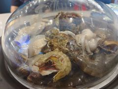 -大锅强·蒸海鲜青岛菜(吾悦广场店)