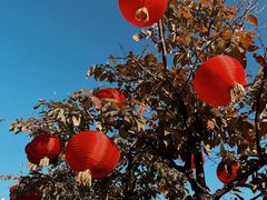 -厦门园林博览苑