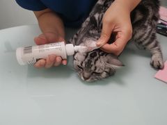-宠福鑫康馨动物医院·骨科·眼科