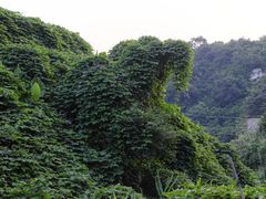-锄山村