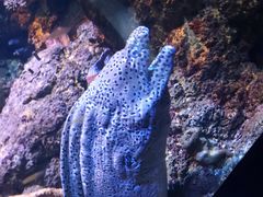 -海合安青岛极地海洋公园