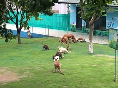 -西霞口神雕山野生动物世界