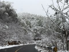 -莫干山风景区