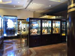 -上海新锦江大酒店