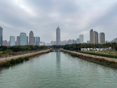 -万绿园