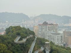 -福道