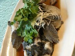 -新加坡海鲜共和(名胜世界圣淘沙海滨坊)