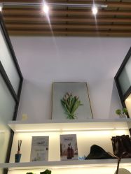 -海菲秀·飞顿牛奶光·LDM官方授权中心美轮美浣瓷感美肌