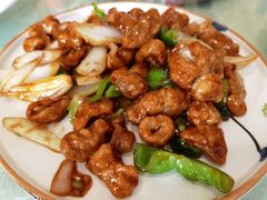 -华盛园卷子王农家菜水库鱼