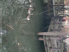 -天怡·鱼工厂(梅溪湖店)