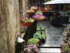 -炊烟餐厅