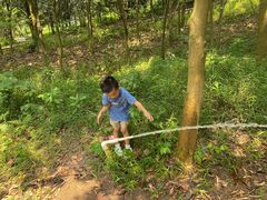 -中山市树木园