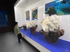 -贝壳王国博物馆