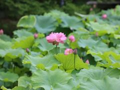 -上海玛雅海滩水公园