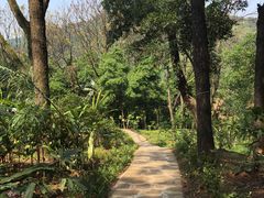 -三门江国家森林公园