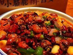 -福苗小骆驼烧烤(莲湖路店)