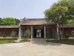 景点-顺峰山公园