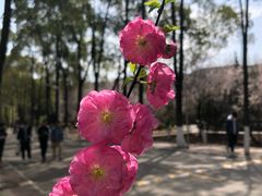 -陕西理工大学(北校区)