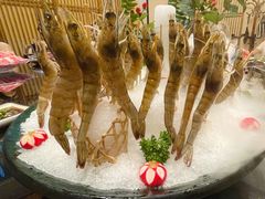 -东颖龙肥牛王(绵阳店)