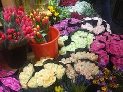 -双季花艺园艺市场(浦东店)