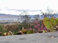 -天龙八部武侠城