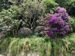 -广州市白云山风景名胜区