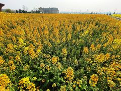 -中国天府农业博览园