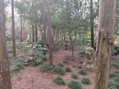 -狼山风景名胜区