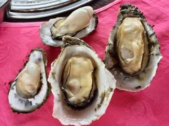 -邹记·美食(斗门店)