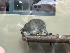 -青藏高原野生动物园