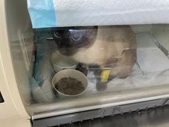 -谐和贝康宠物医院24小时·宠保定点(急重症转诊中心)