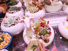 -KKV(上海月星环球港主力店)