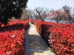 -羡餐厅·杭帮菜·淳菜(千岛湖自由洲际殿店)